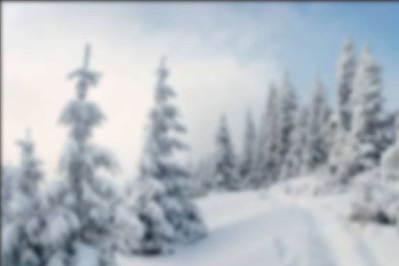 winter-dummy